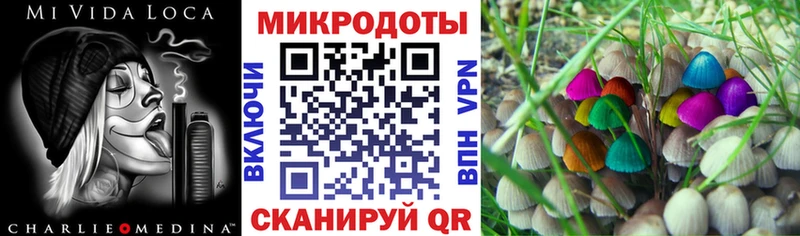 Галлюциногенные грибы прущие грибы  Бакал 